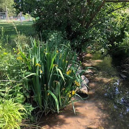 Carolinger Huettendorf 3*