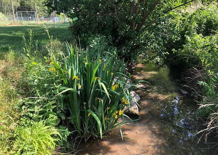 Carolinger Huettendorf 3*